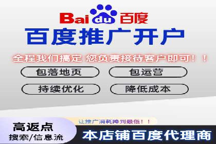 百度信息流广告的实时数据监测与优化案例